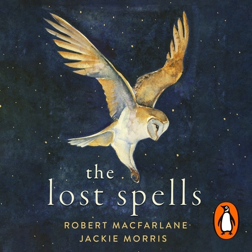 Book cover of The Lost Spells by Robert Macfarlane, Jackie Morris