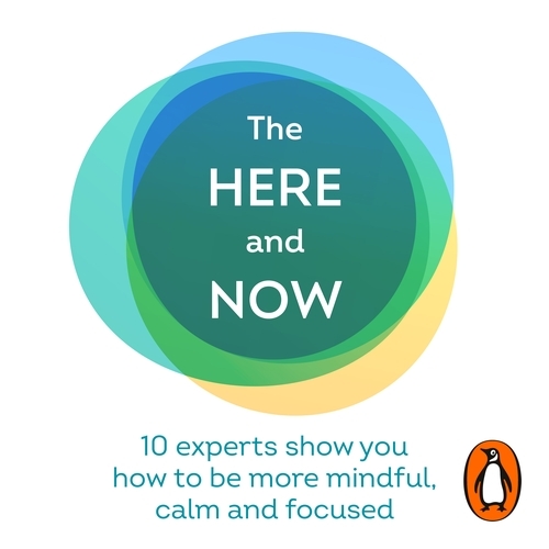 Book cover of The Here and Now by Chloe Brotheridge, Sara Milne Rowe, Chloe Madeley, Helen Tupper, Sarah Ellis, Sophie Fletcher, The Mindfulness Project, Rukmini Iyer, Amir Khan, Oliver Burkeman