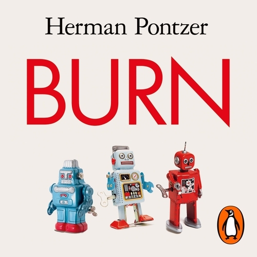 Book cover of Burn by Herman Pontzer