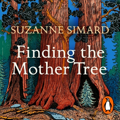 Book cover of Finding the Mother Tree by Suzanne Simard
