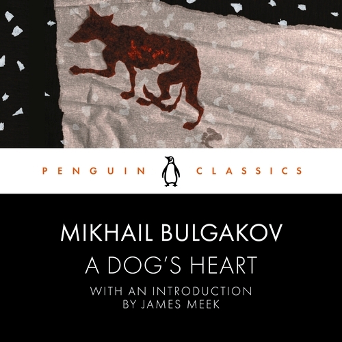 Book cover of A Dog's Heart by Mikhail Bulgakov