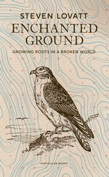 Book cover of Enchanted Ground by Steven Lovatt
