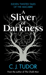 Book cover of A Sliver of Darkness by C. J. Tudor
