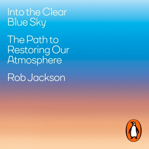 Book cover of Into the Clear Blue Sky by Rob Jackson