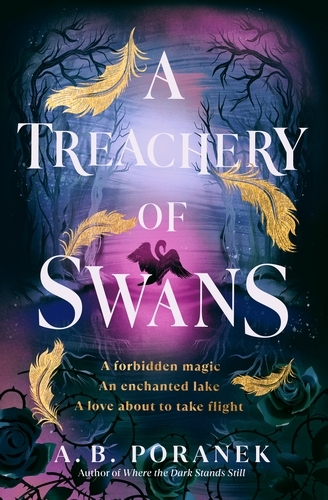 Book cover of A Treachery of Swans by A. B. Poranek