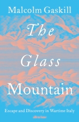Book cover of The Glass Mountain by Malcolm Gaskill