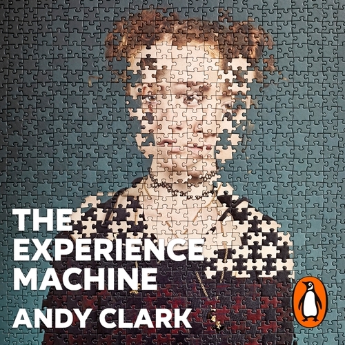 Book cover of The Experience Machine by Andy Clark