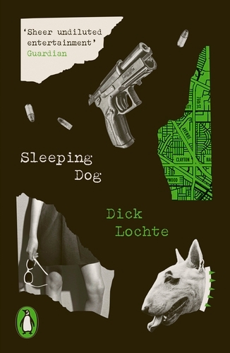Book cover of Sleeping Dog by Dick Lochte