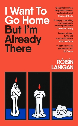 Book cover of I Want To Go Home But I'm Already There by Róisín Lanigan