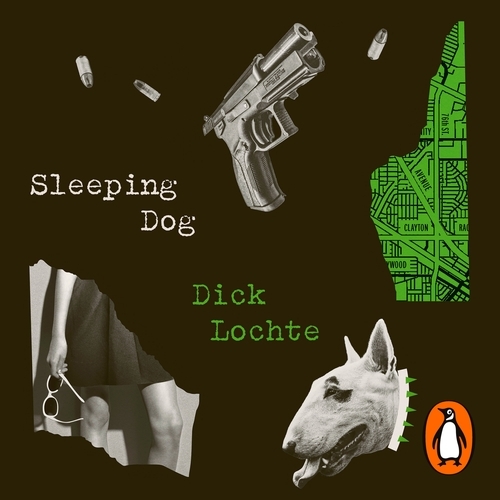 Book cover of Sleeping Dog by Dick Lochte