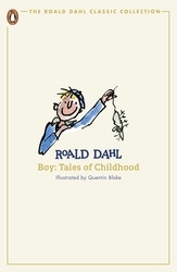 Book cover of Boy by Roald Dahl