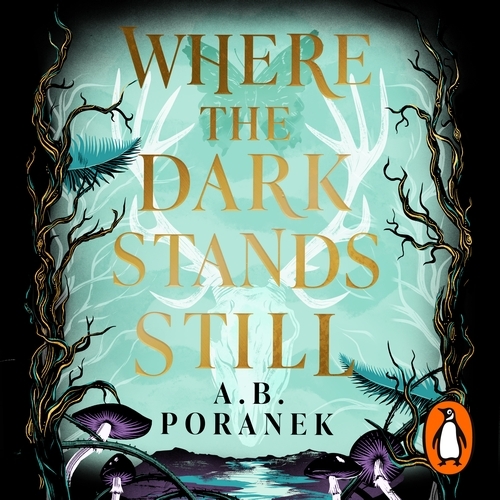 Book cover of Where the Dark Stands Still by A. B. Poranek