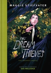 Book cover of The Dream Thieves by Maggie Stiefvater