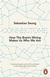 Book cover of Connectome by Sebastian Seung