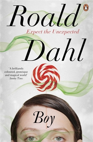 Book cover of Boy by Roald Dahl