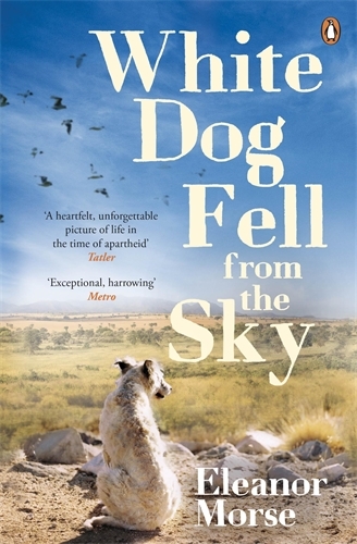 Book cover of White Dog Fell From the Sky by Eleanor Morse