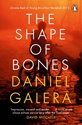Book cover of The Shape of Bones by Daniel Galera