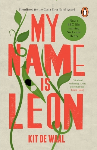 Book cover of My Name Is Leon by Kit de Waal