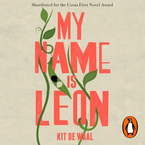 Book cover of My Name Is Leon by Kit de Waal