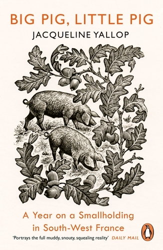 Book cover of Big Pig, Little Pig by Jacqueline Yallop