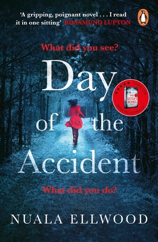Book cover of Day of the Accident by Nuala Ellwood