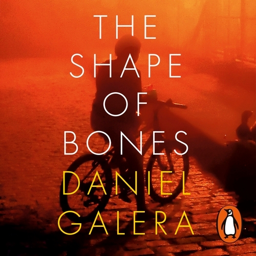 Book cover of The Shape of Bones by Daniel Galera