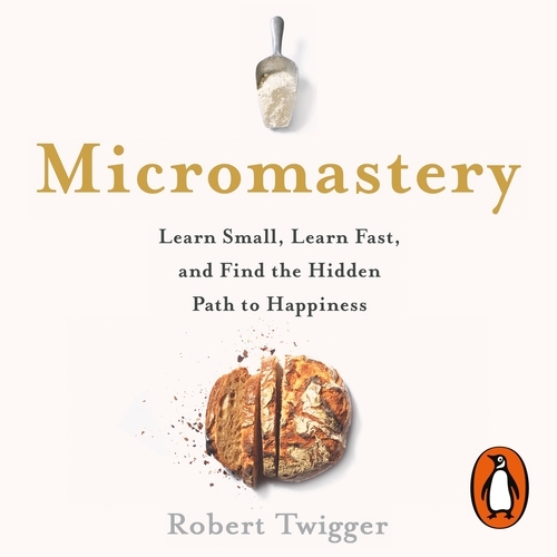 Book cover of Micromastery by Robert Twigger