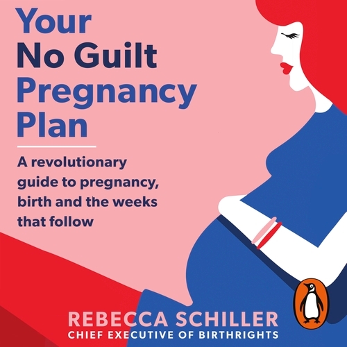 Book cover of Your No Guilt Pregnancy Plan by Rebecca Schiller