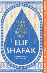 Book cover of There are Rivers in the Sky by Elif Shafak