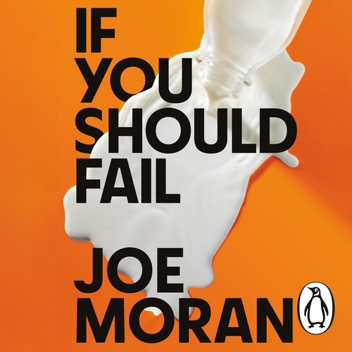 Book cover of If You Should Fail by Joe Moran