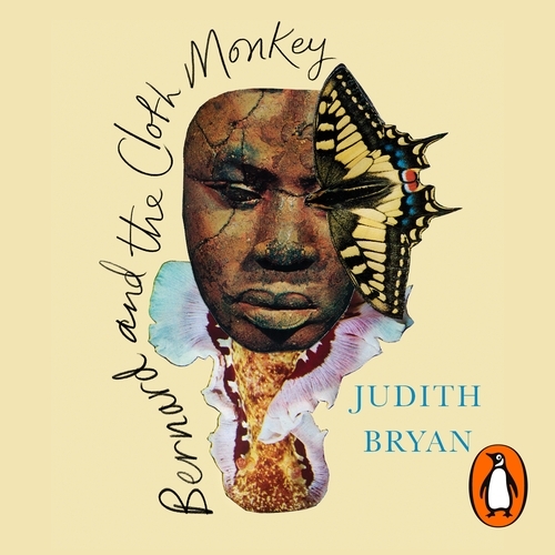 Book cover of Bernard and the Cloth Monkey by Judith Bryan