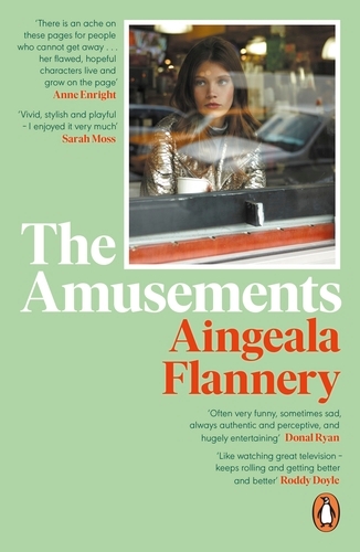 Book cover of The Amusements by Aingeala Flannery