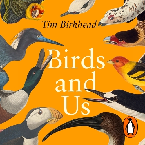 Book cover of Birds and Us by Tim Birkhead