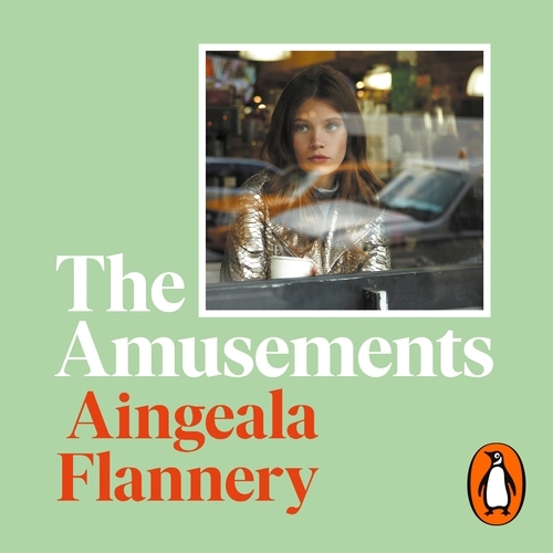 Book cover of The Amusements by Aingeala Flannery