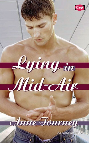 Book cover of Lying in Mid-Air by Anne Tourney