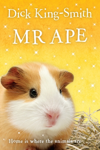 Book cover of Mr Ape by Dick King-Smith
