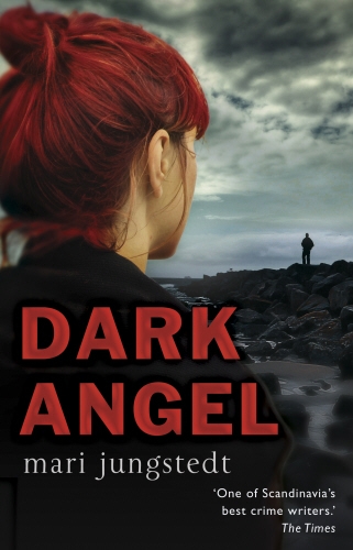 Book cover of #6 - Dark Angel by Mari Jungstedt