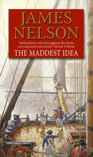 Book cover of The Maddest Idea by James Nelson