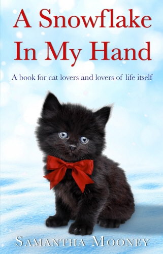 Book cover of A Snowflake In My Hand by Samantha Mooney