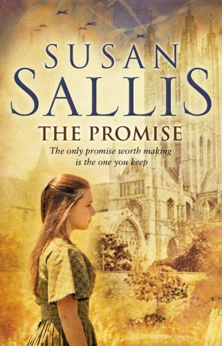 Book cover of The Promise by Susan Sallis