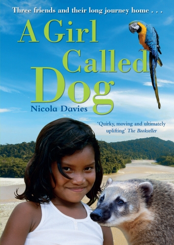 Book cover of A Girl Called Dog by Nicola Davies