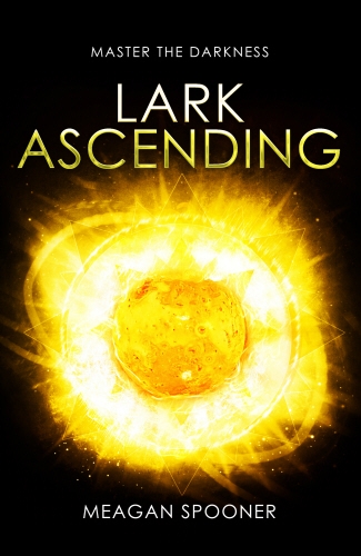 Book cover of Lark Ascending by Meagan Spooner