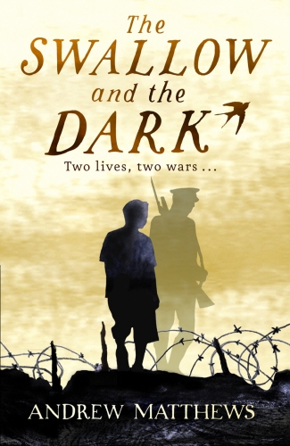Book cover of The Swallow And The Dark by Andrew Matthews