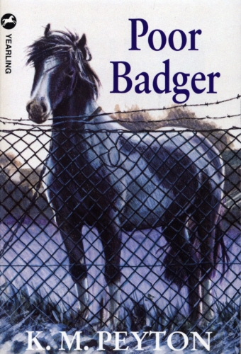 Book cover of Poor Badger by K M Peyton