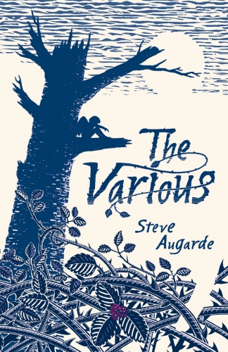 Book cover of The Various by Steve Augarde