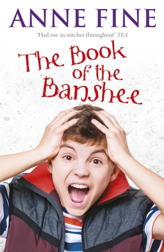 Book cover of The Book Of The Banshee by Anne Fine