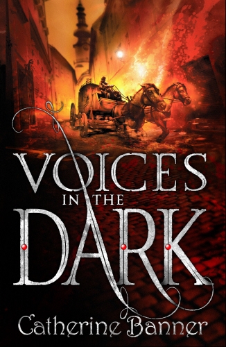 Book cover of Voices in the Dark by Catherine Banner