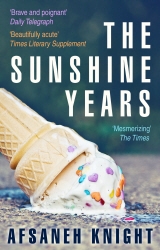 Book cover of The Sunshine Years by Afsaneh Knight