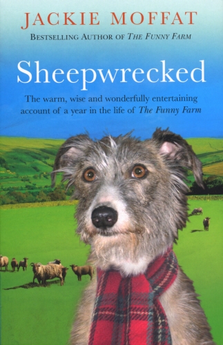 Book cover of Sheepwrecked by Jackie Ellis