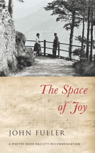 Book cover of The Space of Joy by John Fuller
